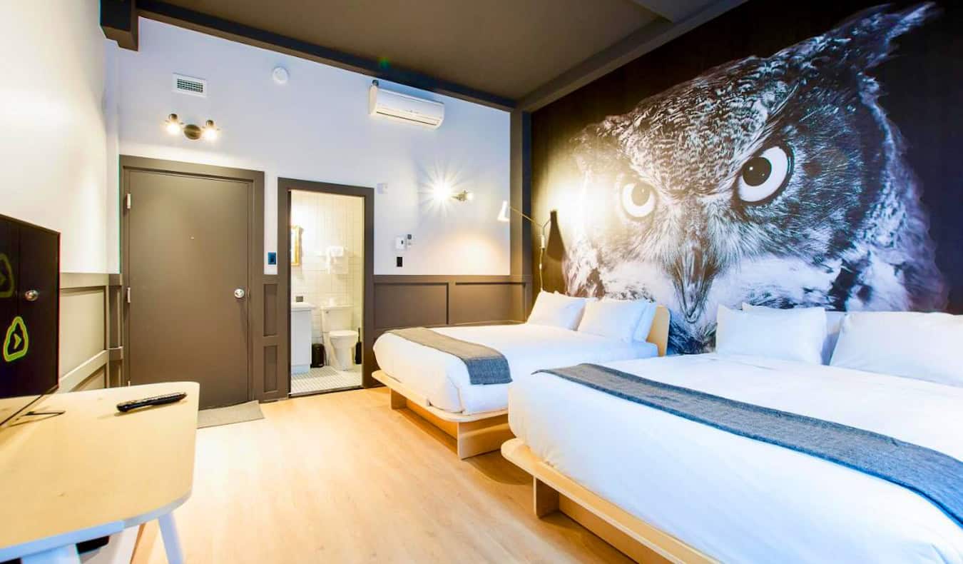 A bright and airy hotel room at Hotel du Jardin in Quebec City, Canada with a huge portrait of an owl on the wall