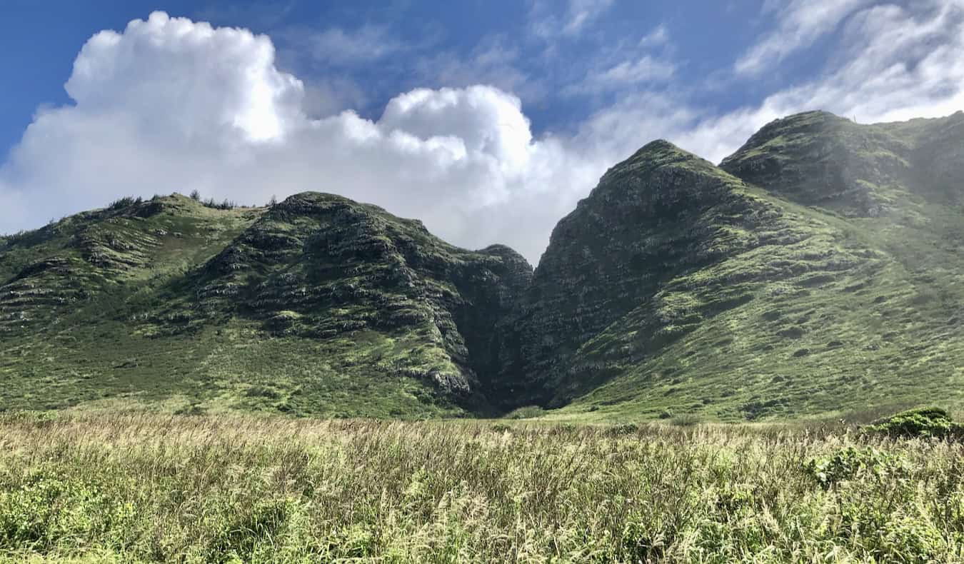 A massive, rolling set of lush hills in the jungles of Oahu, Hawaii