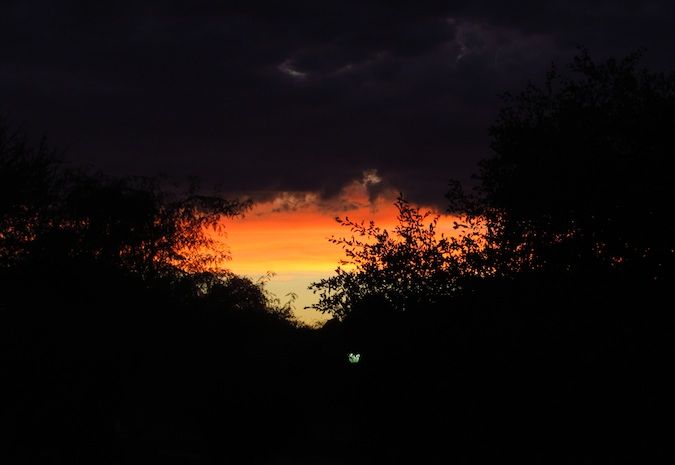 A red sunset in Africa