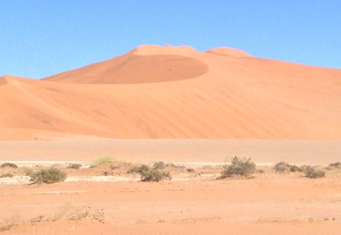 The red dunes of Deadvlei, Namibia, Africa 