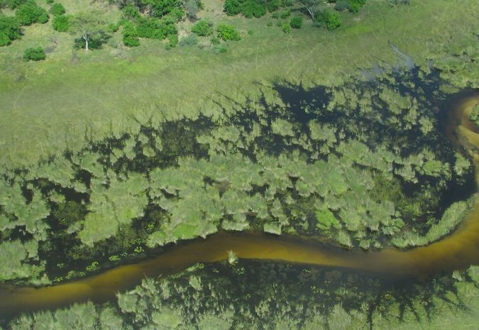 博茨瓦纳Okavango delta