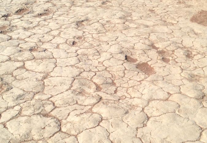 Deadvlei，纳米比亚的破裂地球