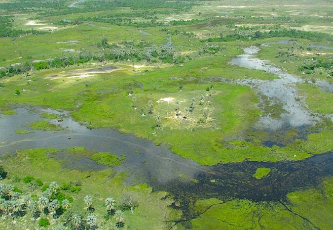 博茨瓦纳Okavango delta