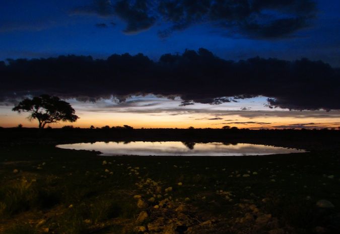 A sunset in Africa at the watering hole in Etosha National Park, Namibia 