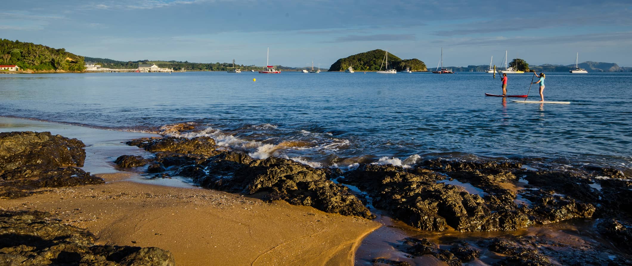 people stand-up paddling in the Bay of Islands, New Zealand