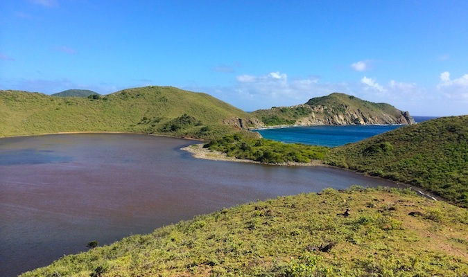 the beach on buck island, st. croix usvi