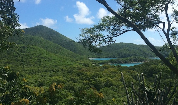 圣克罗伊岛巴克岛的海滩