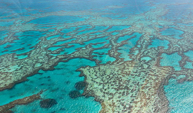 Great Barrier Reef Scuba Diving