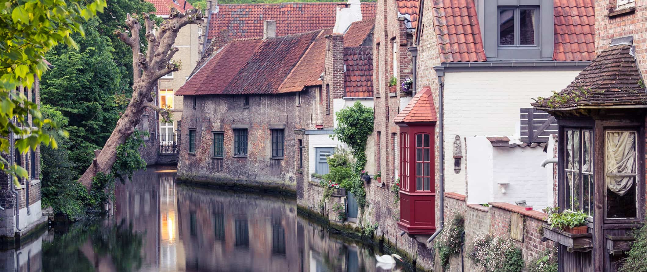 A historic, calm canal in Bruges, Belgium surrounded by old houses and lush greenery