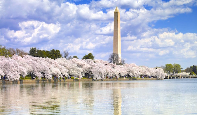 The Washington Monument