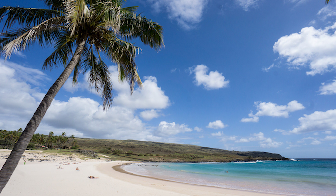 praia remota na Ilha de Páscoa, com uma palmeira e areia branca