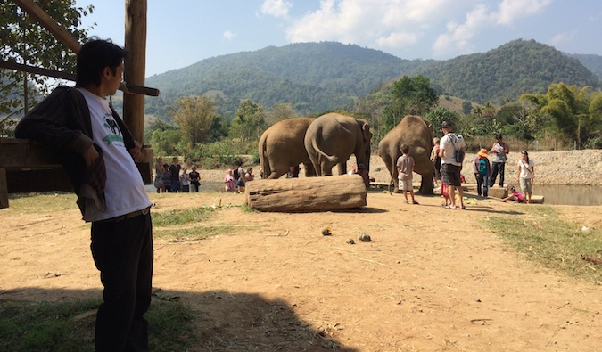 Travelers at Elephant Nature Park interacting with the elephants