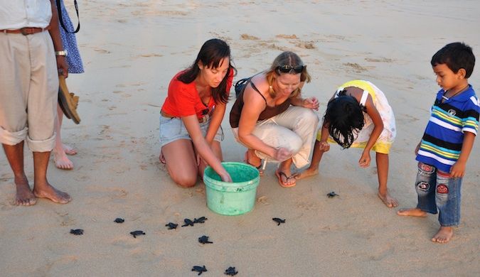 erin from goeringo volunteering in sri lanka helping turtles on a beach