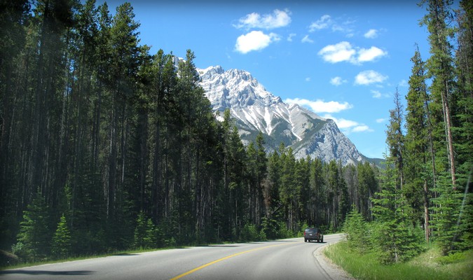 Open road, free forest and beautiful mountain range