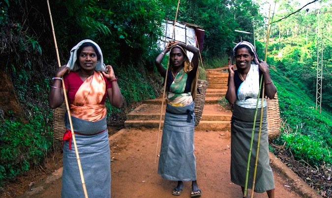 Three local women posing for a photo while working near the jungle