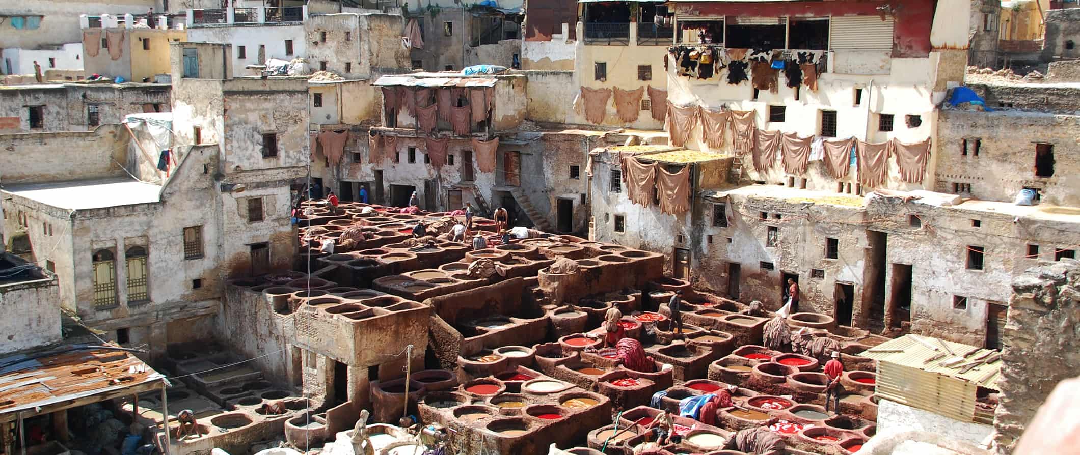 The huge, historical tannery in Fez surrounded by old, traditional Moroccan houses and buildings