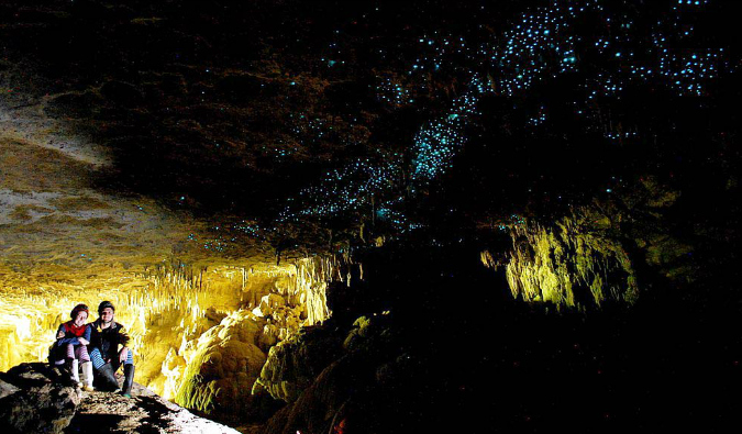 Glow worms Waitomo