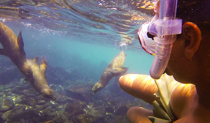 Heather snorkeling in the Galapagos Islands