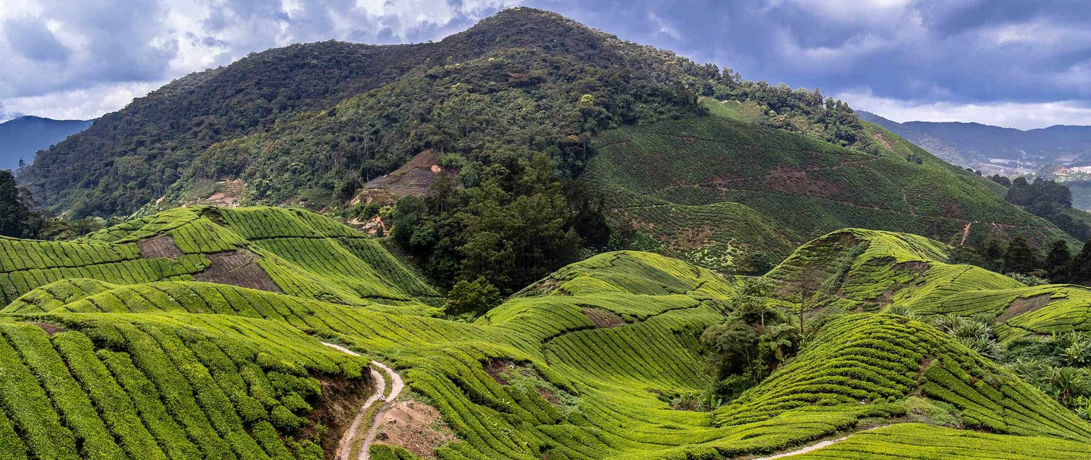 cameron highlands trekking tour