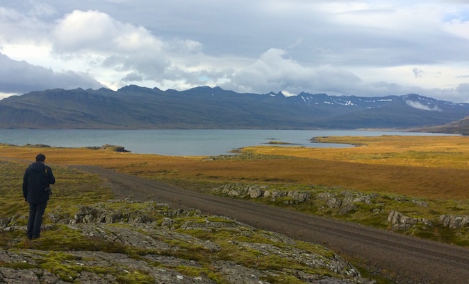 the stunning fjords of Iceland