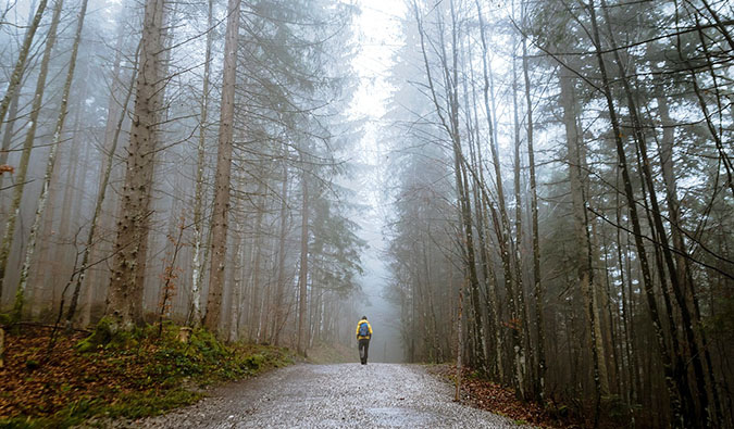 Man walking down a path