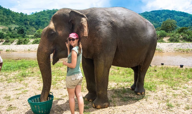 Solo female traveling Kristen feeding an elephant in Thailand