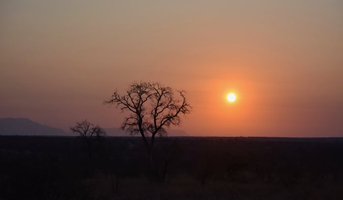 Sunset in Kruger National Park.