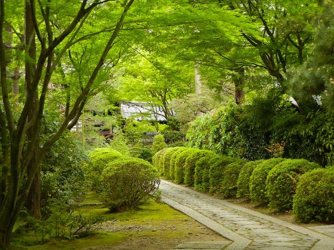 日本京都大德寺的一条古老的石径