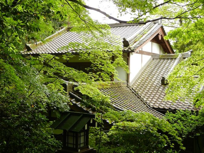 Chorakuji temple in Kyoto, Japan obscured by lush green trees