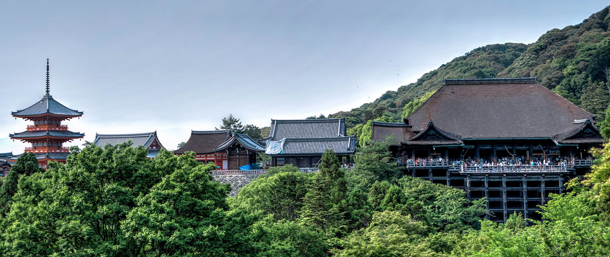 日本京都的寺庙景观