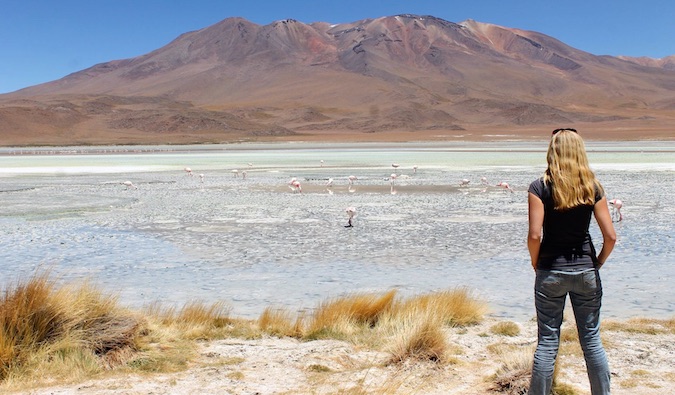 woman gazing into distance in desert with flamingos