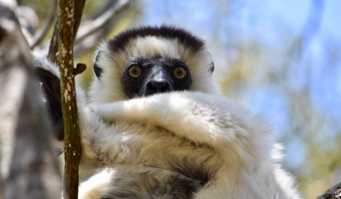 Beautiful scenery in Madagascar