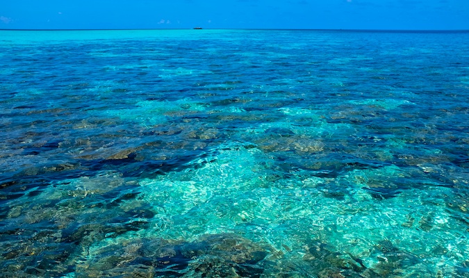 Experience the clear waters of the Maldives