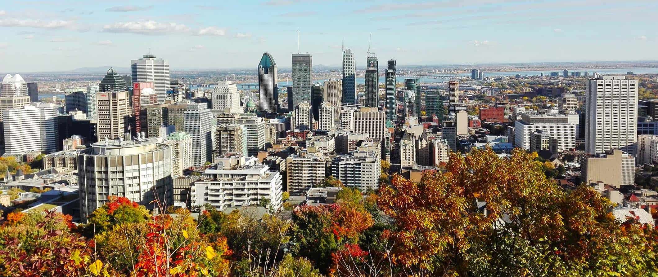 a view of Montreal from Mont Royal during the fall with red leaves changing in the foreground