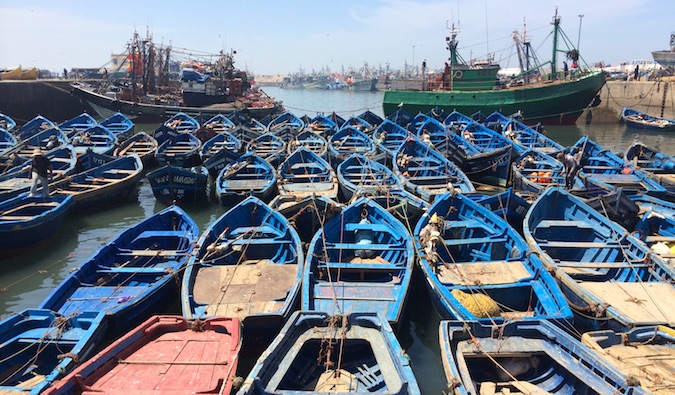 The many blue fishing boats of Essouaria in Morocco tied up together in the harbour