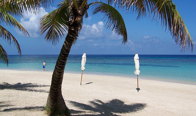 tropical beach with umbrellas and waves