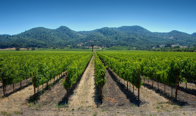 Guide to Visiting Napa for All Budgets