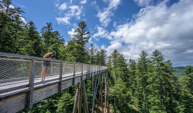 solo female traveler looking over the edge of a bridge in a forest