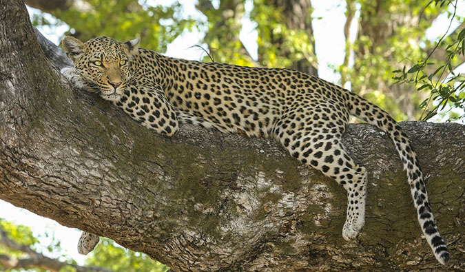 The view from the campground on a safari in the Okavango Delta in Botswana