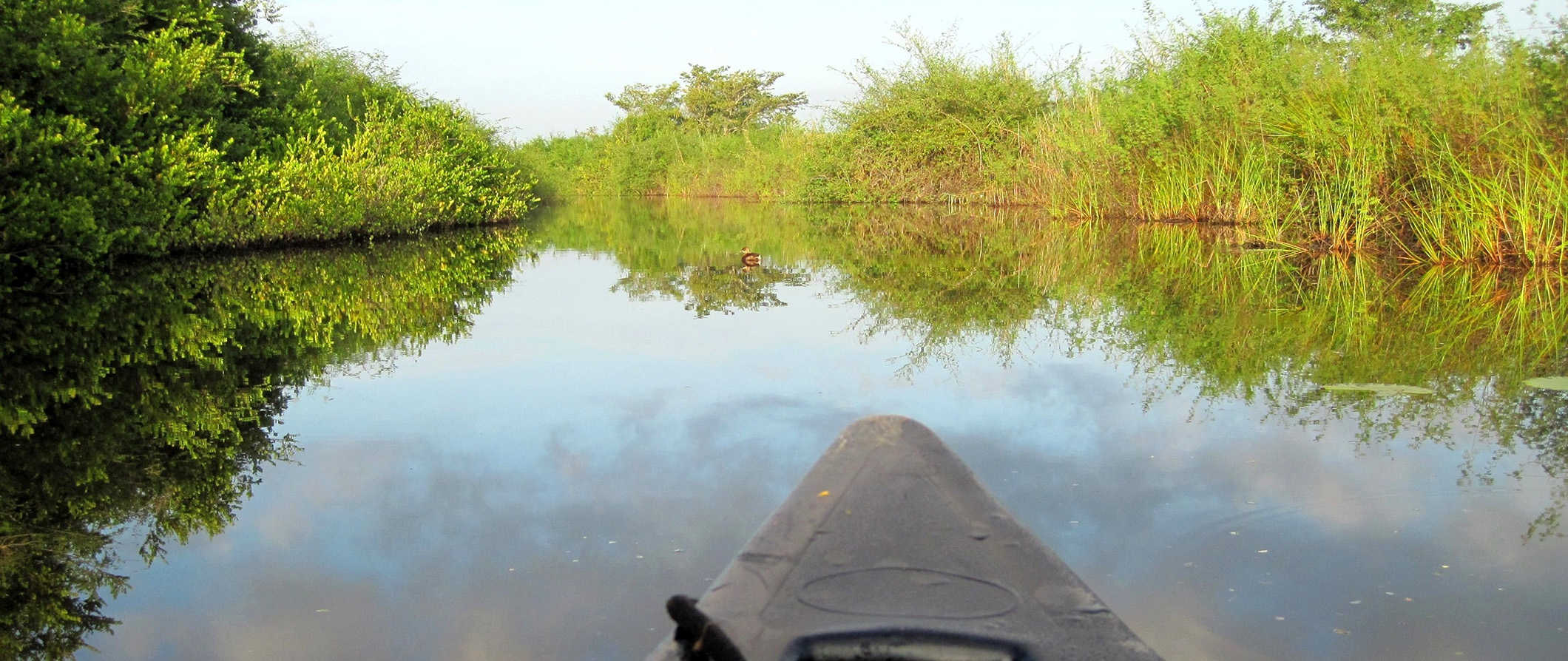 kayaking through mangroves in Orange Walk, Belize