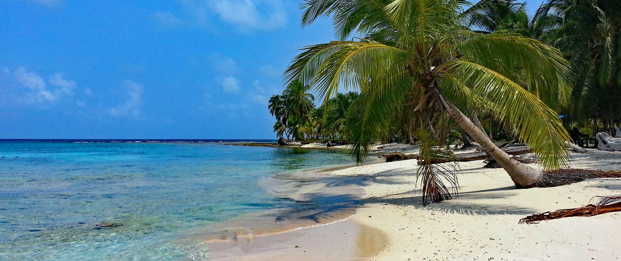 tropical palm trees and beaches in Panama