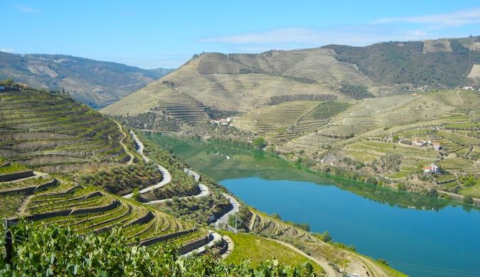 wineries in the douro valley portugal
