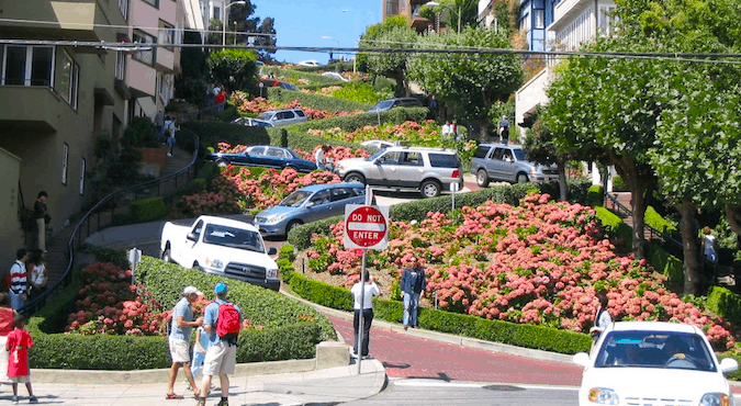 The zig zagged Lombard Street full of cars and pink flowers is a must-see on a sunny day in Cali