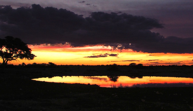 Sunset in Etosha National Park in Nambibia