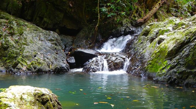 A river in Khao Sok