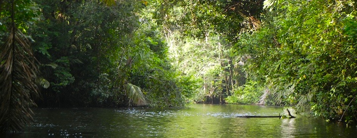 Tortuguero Travel Guide