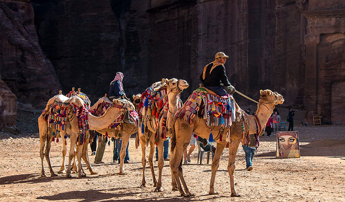 travelers riding camels in Jordan