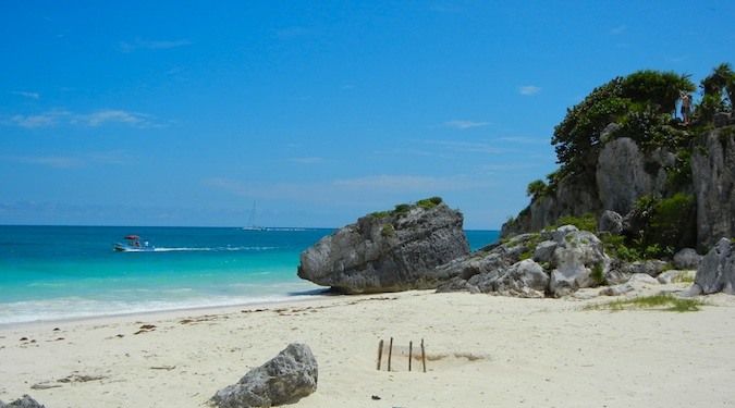 A protected area for turtle nesting