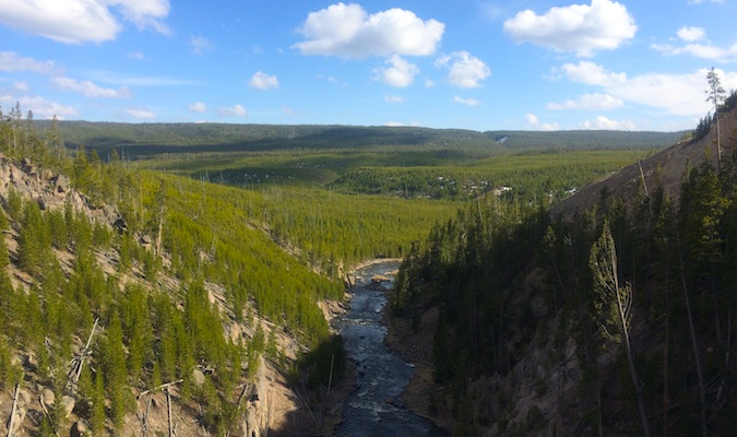 yellowstone national park