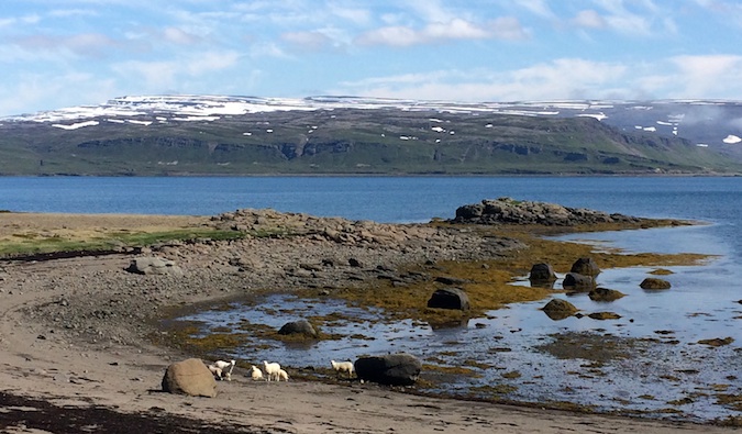 westfjords in iceland